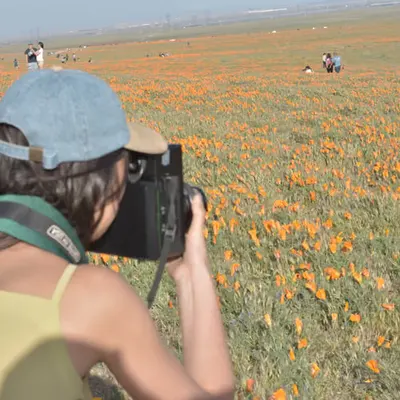superbloom with liz