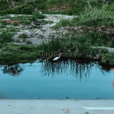 LA river