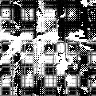 P ⬤ R ▀█▀ ▅▀▅ █▄ 