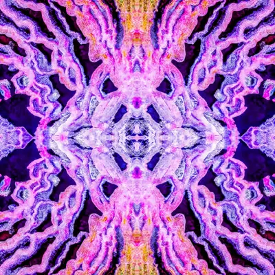 Ultra Violet