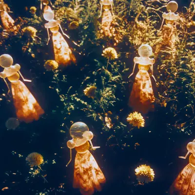 flores ephemeri | spiritus errantes