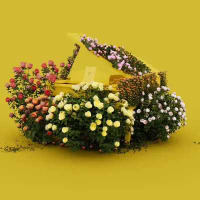 Serendipity