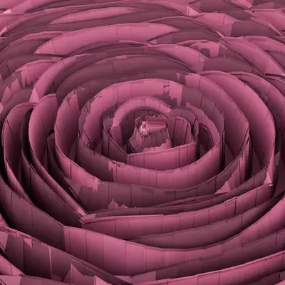 The Rose Labyrinth