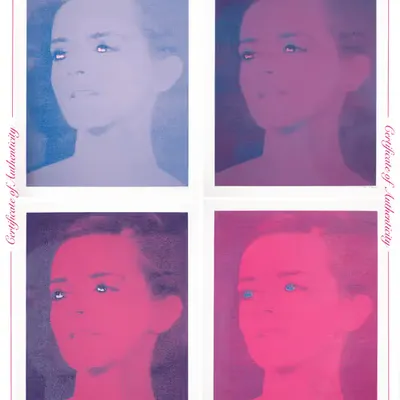The Muse (Royal, Berry, French Rose, Magenta)