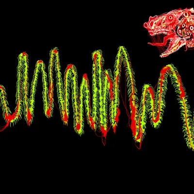 Chromie Tapeworm Micrograph <i>