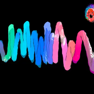 Chromie Tapeworm Micrograph <k>