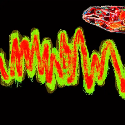 Chromie Tapeworm Micrograph <l>