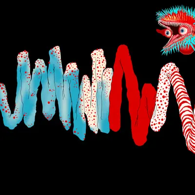 Chromie Tapeworm Micrograph <m>
