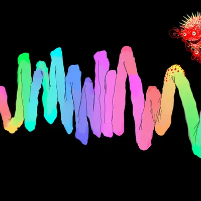 Chromie Tapeworm Micrograph <a>