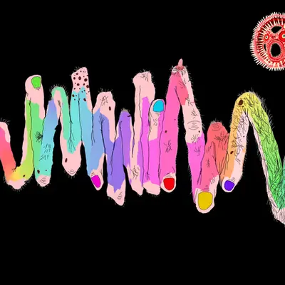 Chromie Tapeworm Micrograph <e>