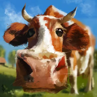 Dottie