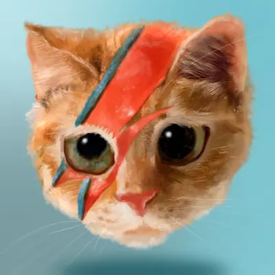 David Meowie