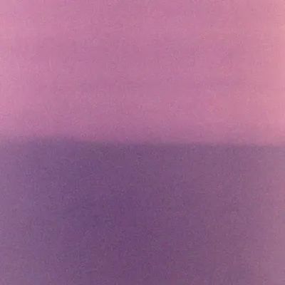 Eggplant Echo