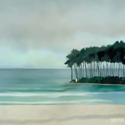 Sentinel's Cove