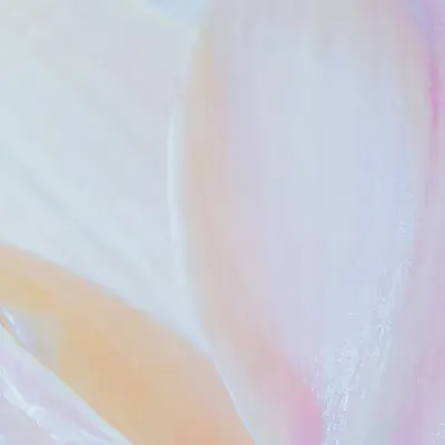 Soft Rainbow