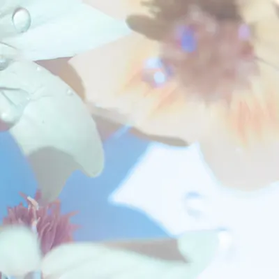 Blossom Pastel
