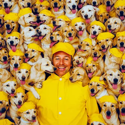 PUPPIES #106
