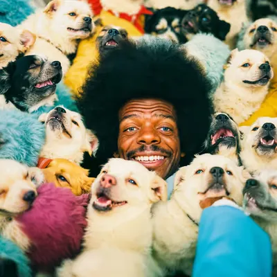 PUPPIES #81