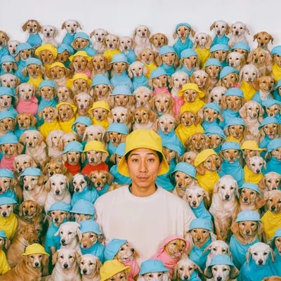 PUPPIES #49