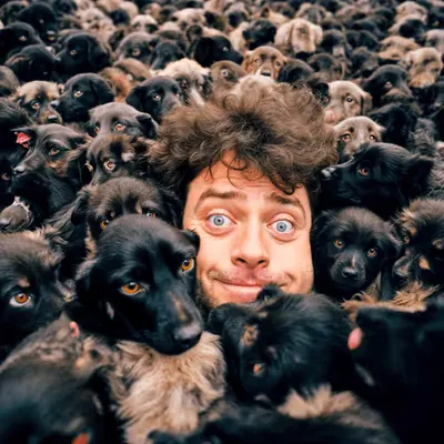 PUPPIES #68
