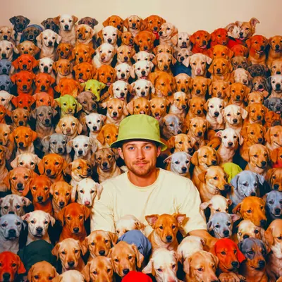 PUPPIES #29