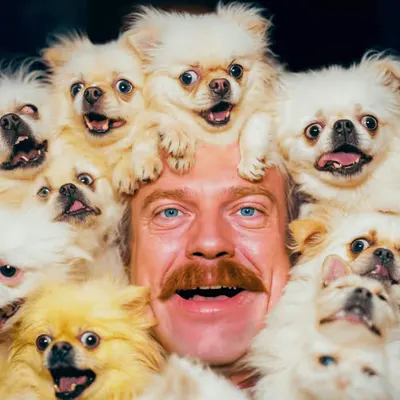 PUPPIES #61