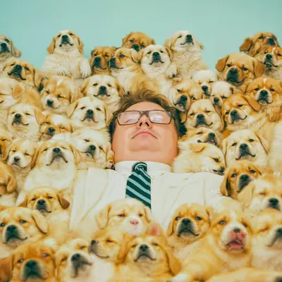 PUPPIES #62