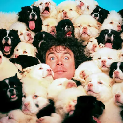 PUPPIES #47