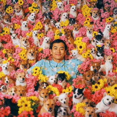 PUPPIES #22