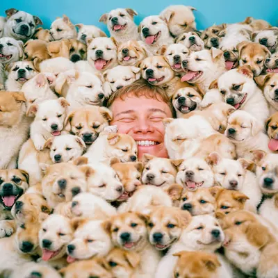 PUPPIES #77