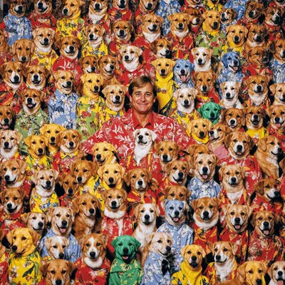 PUPPIES #82