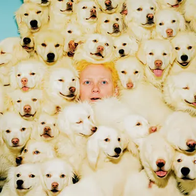 PUPPIES #110