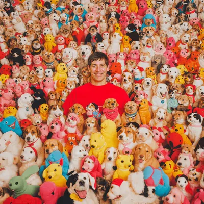 PUPPIES #46