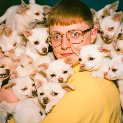 PUPPIES #23