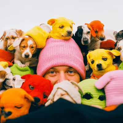 PUPPIES #102