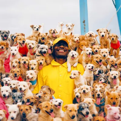 PUPPIES #90