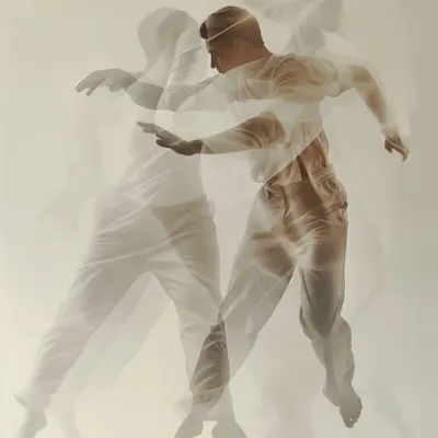𝐙𝐒 #230