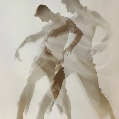 𝐙𝐒 #246