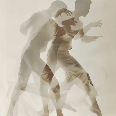 𝐙𝐒 #248