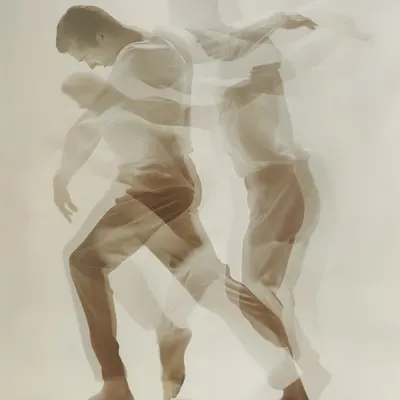 𝐙𝐒 #290