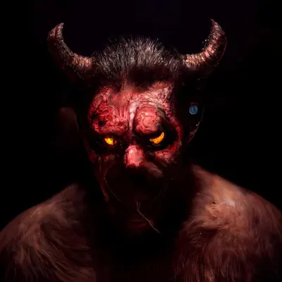 Draoknaoc H. Chip