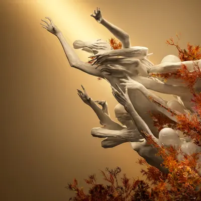 NYMPHS