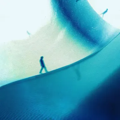 Trip