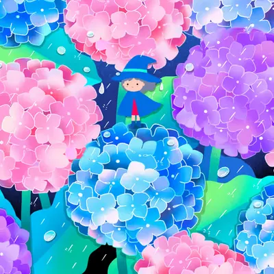On the way with hydrangeas