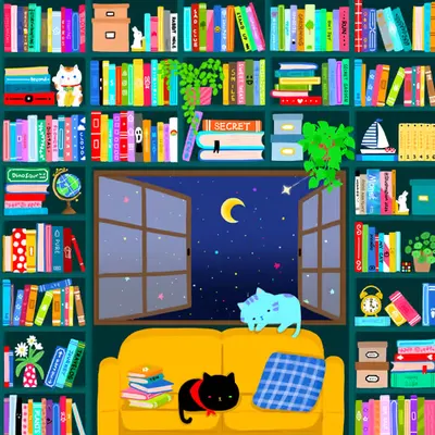 The bookshelf