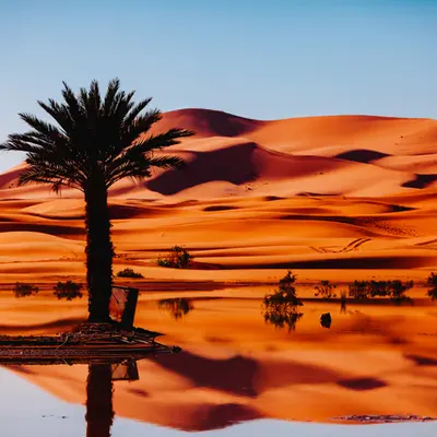 Sahara of Morocco