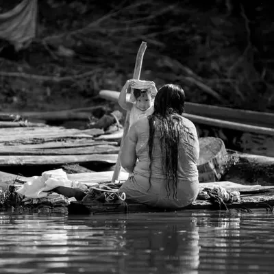 Amazonia 01