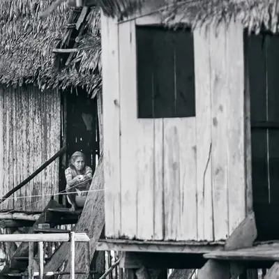 Amazonia 03