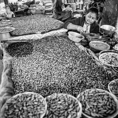 A  Journey through the Tribal Lands of NE India #24