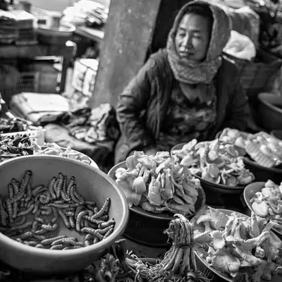 A  Journey through the Tribal Lands of NE India #41